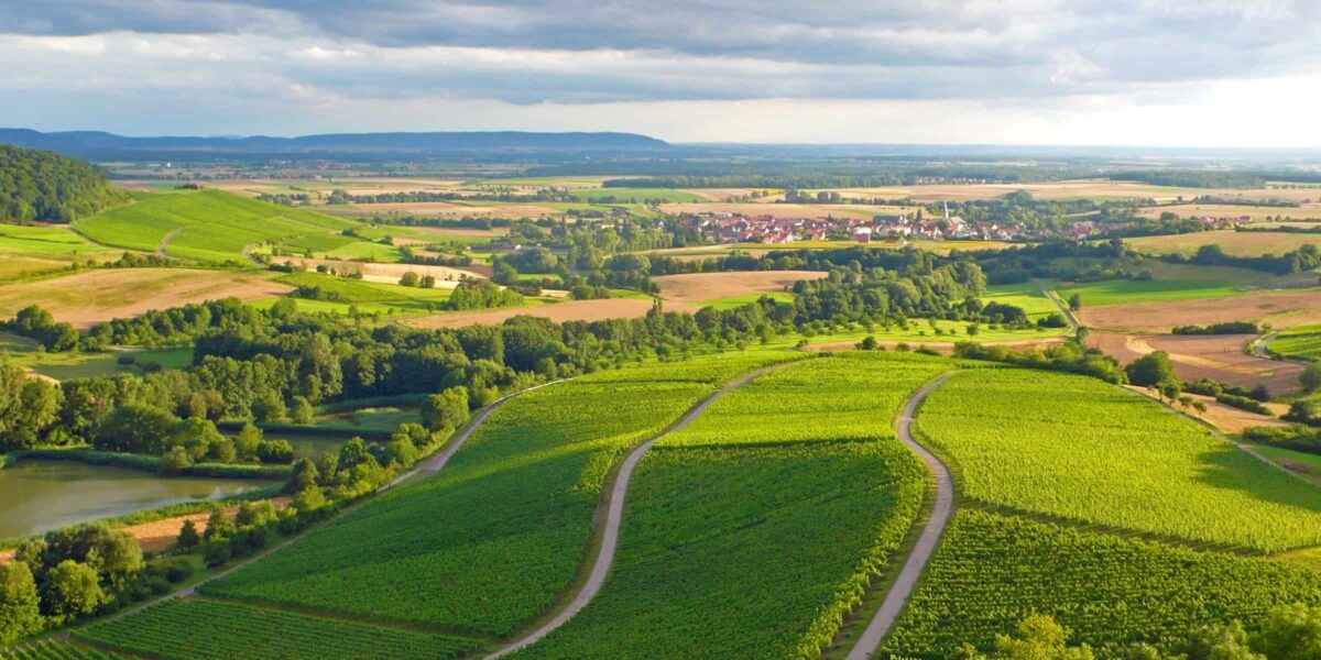 Drohnenaufnahme über die grünen Felder im Landkreis Schweinfurt bei schönem Wetter