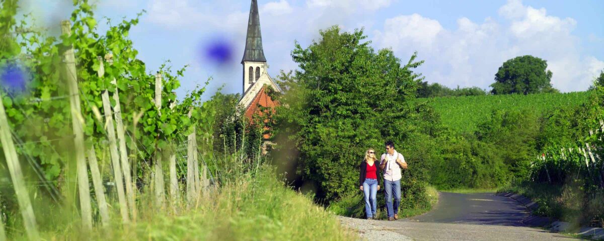ein Paar mit Wanderrucksack läuft durch die grünen Weinberge von Würzburg